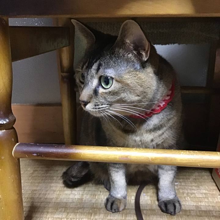 E4a7db09 c102 4995 a378 6b830b2c98c8 1679486792262