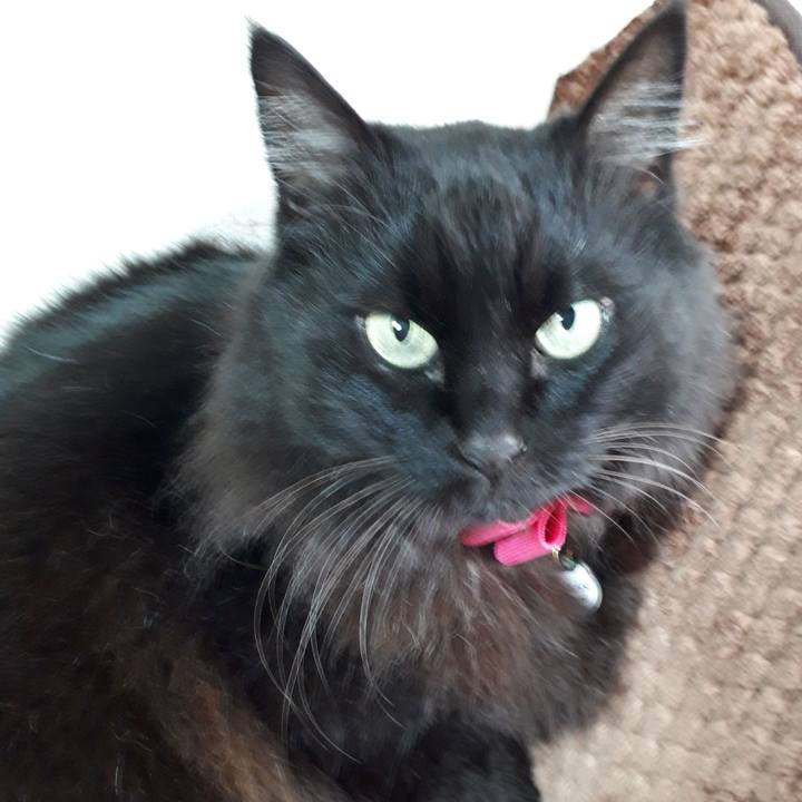 E4a83212 1945 4849 b51e 4b432068b715 1518681222054