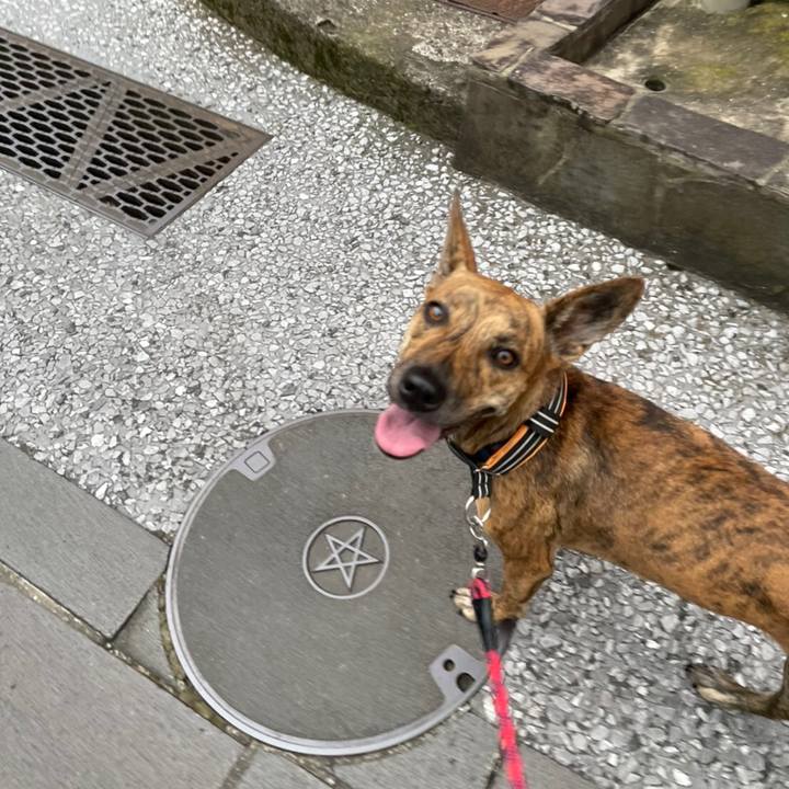 E4a85540 cdc8 4d1b 884c 0761c71cfd4d 1631079212285