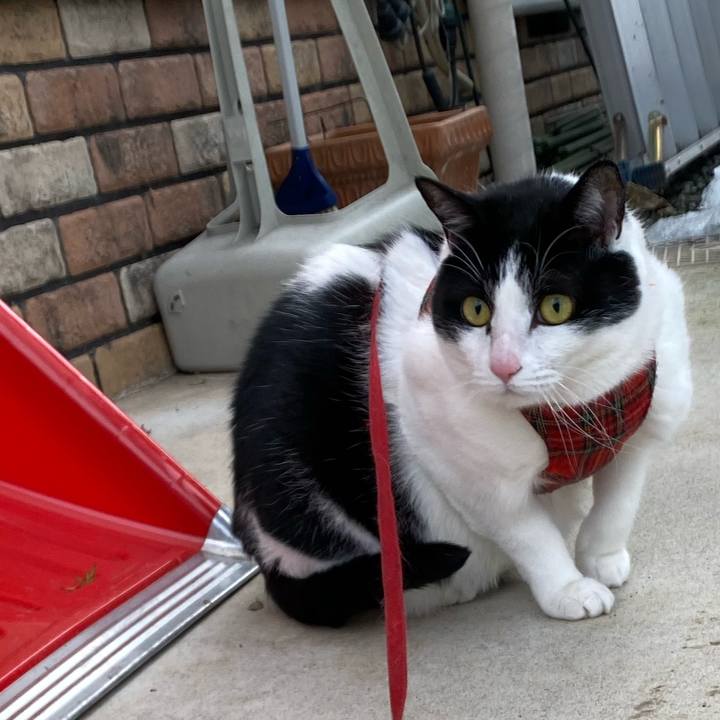 E4a86800 b969 495c 8d49 db88f33f9295 1611472189436