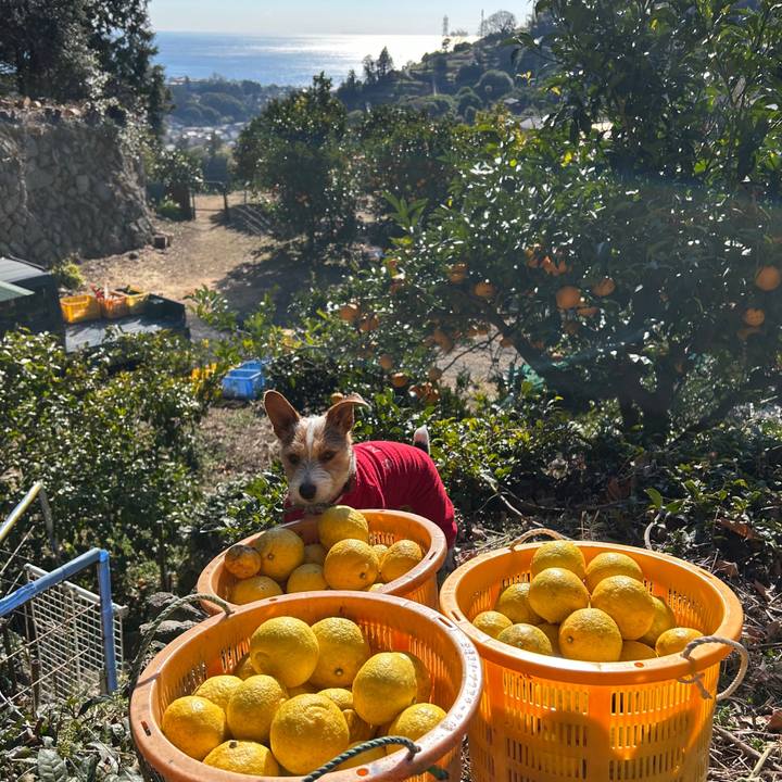 E4a87556 befb 43dd 83cb 198732471204 1770080193625