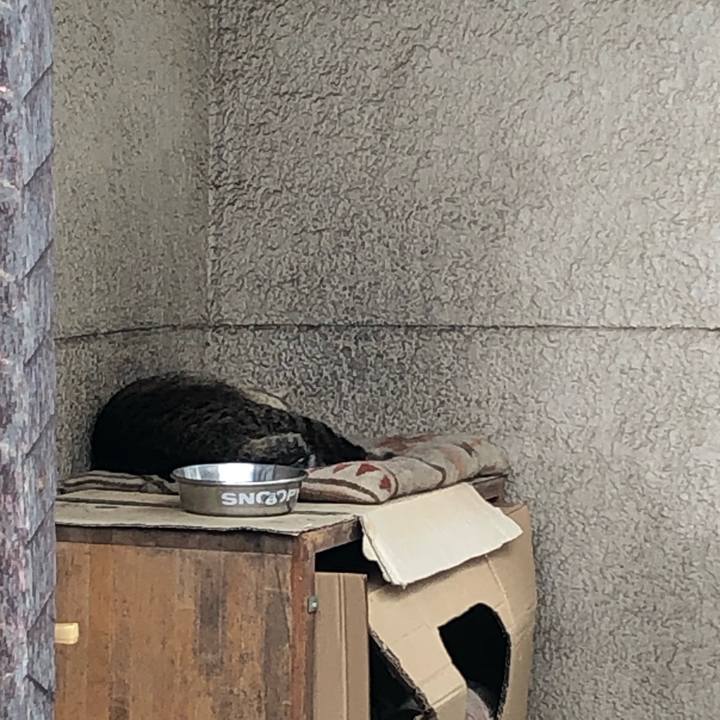 E4a88fd3 d678 4a05 9085 01af89a86dbd 1626242231886