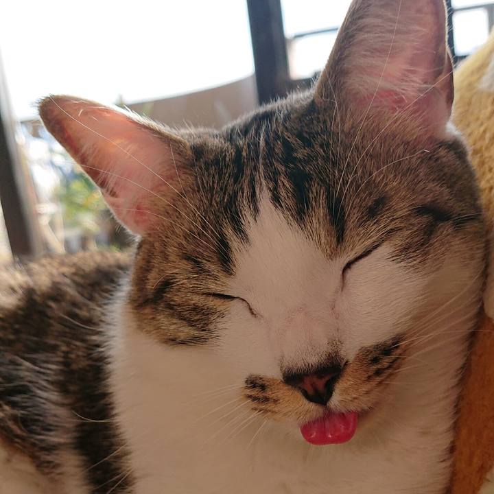 E4a896e1 eb54 4623 b7f0 39c518f6df14 1579329664362