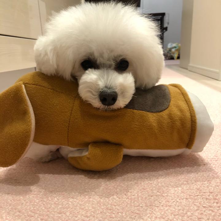 E4a94c31 3faa 43b5 84ec c72e1164704e 1613713670151