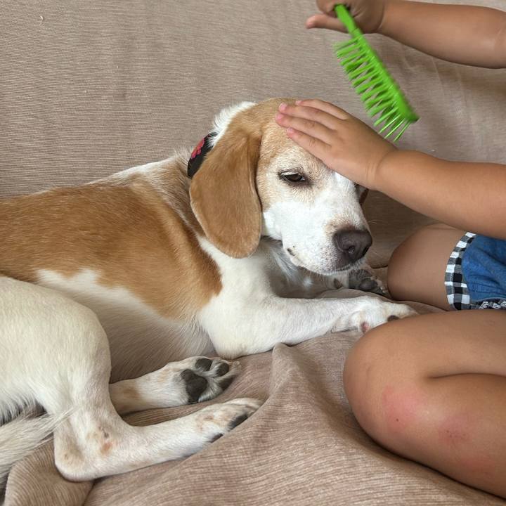 E4a96490 6340 4dad a4bc 801441a05c82 1756642976798