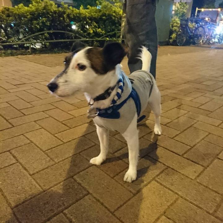 E4a97b20 da6b 4e44 91f2 cace370f6268 1507803350945