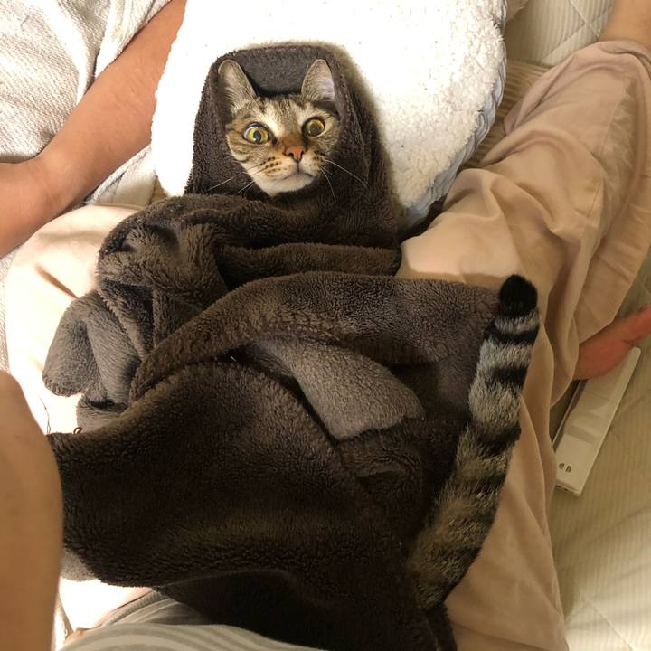 E4a9a896 655e 4670 a341 1258bbc71e78 1594757660103