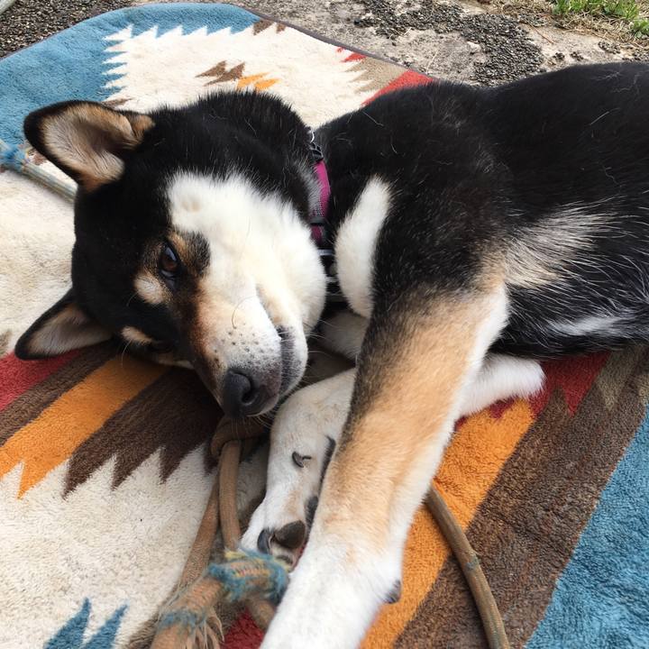 E4a9c462 b42c 4033 8446 3f681baba29b 1580614604317