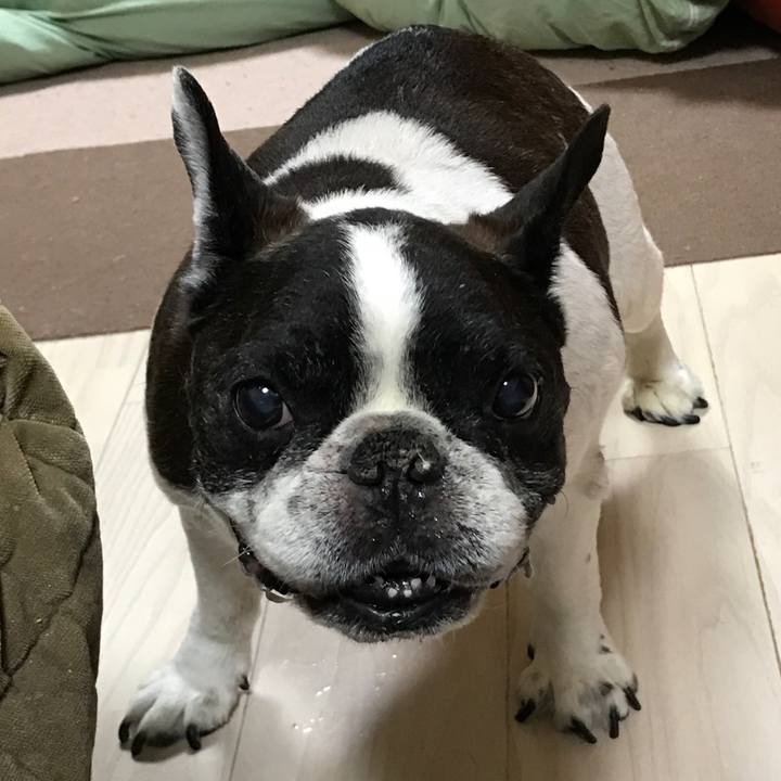 E4a9def8 29f4 43d0 ba77 a218276160a5 1512730085298