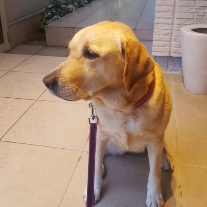 E4a9eeed cfb2 400e 8267 bb102783da7b 1514286981181