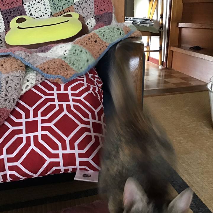 E4aa6000 e537 414b 872c da5ccc5915a6 1573204534656