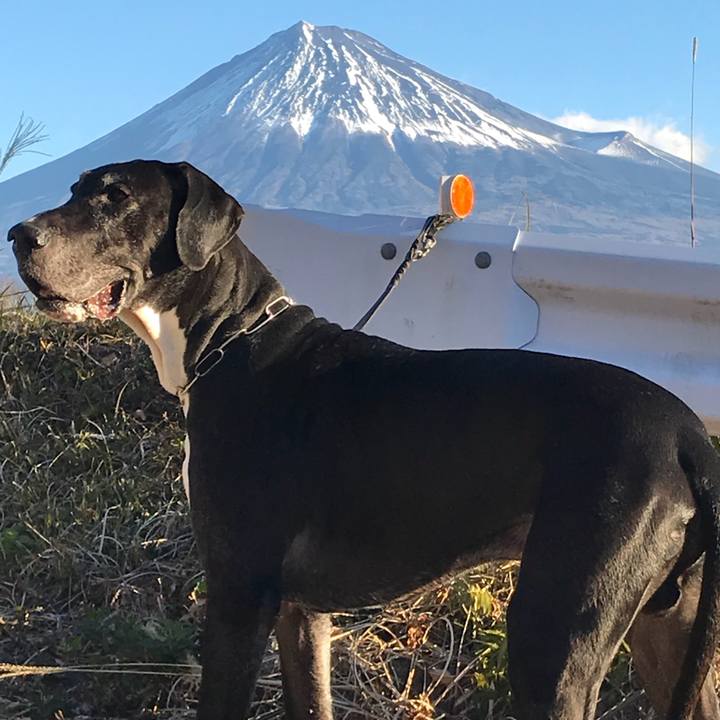 E4aa7671 d2a3 440f b45f b8cbe000ec5b 1513469029470