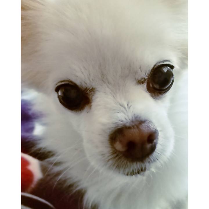 E4aa84e3 22ac 4baf a3df 9d4e11c5c527 1652855995763