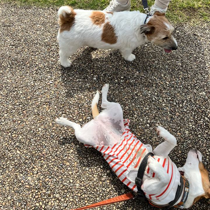 E4aabdd4 367e 4fd2 96e5 3f833c04a672 1712479267497