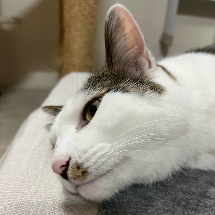 E4ab15c5 128a 4f93 9e01 a0ba604beadf 1689680848020