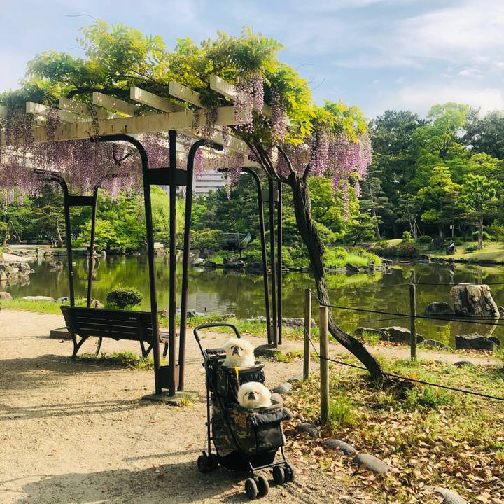 E4abe7e0 9921 4f45 8abf ff26ee5a16ab 1619317437410