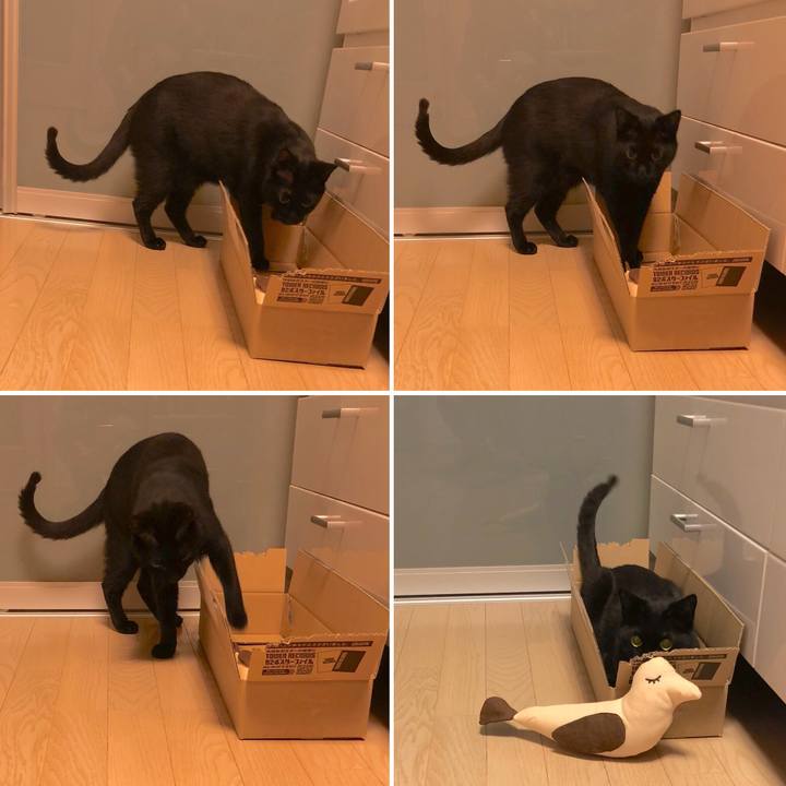 E4abefce eeef 499e a9f1 0c148ee87da3 1521467289328