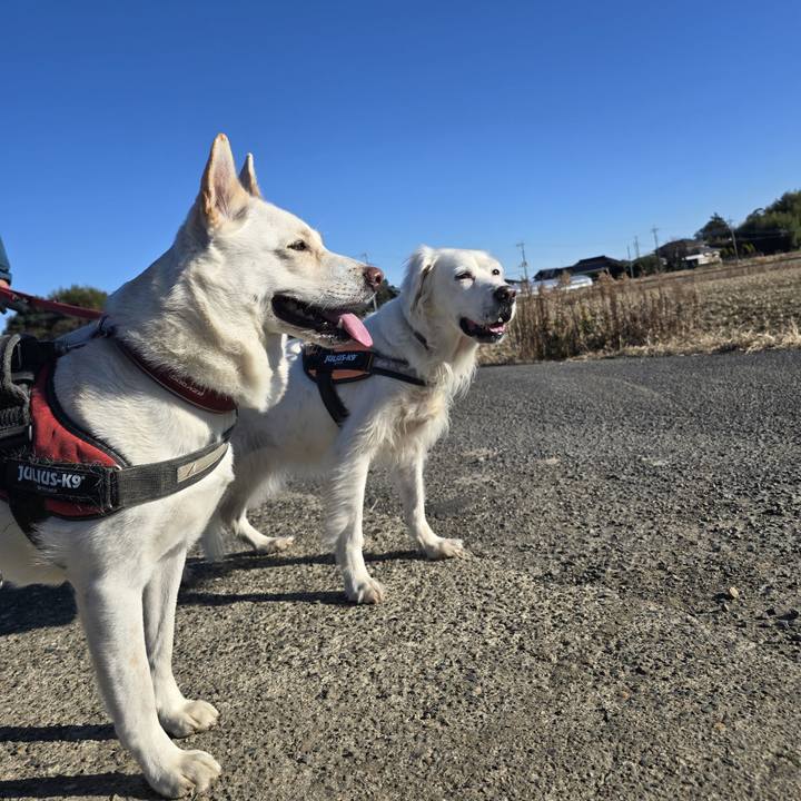 E4abfafc e02f 4730 90be d45fcd671d49 1767246253321