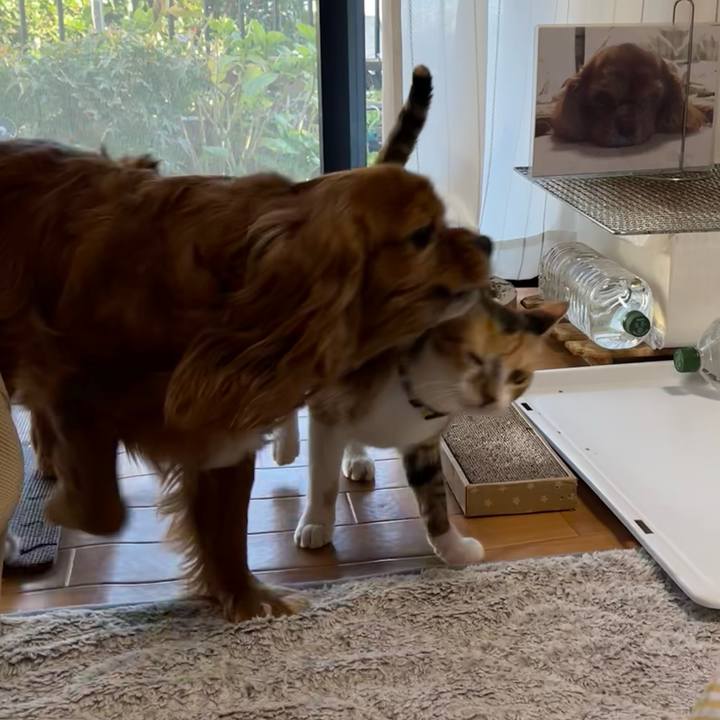 E4ac1889 43d7 4e2d bdda e456630b0cb1 1668465486470