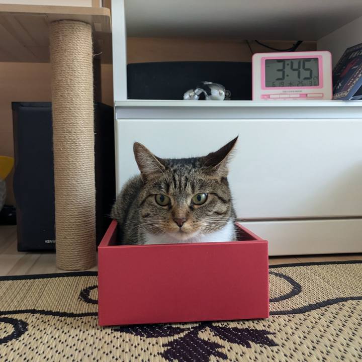 E4ac4aaa 1d20 4217 a7fa 9ba1cb1ec138 1718779979794