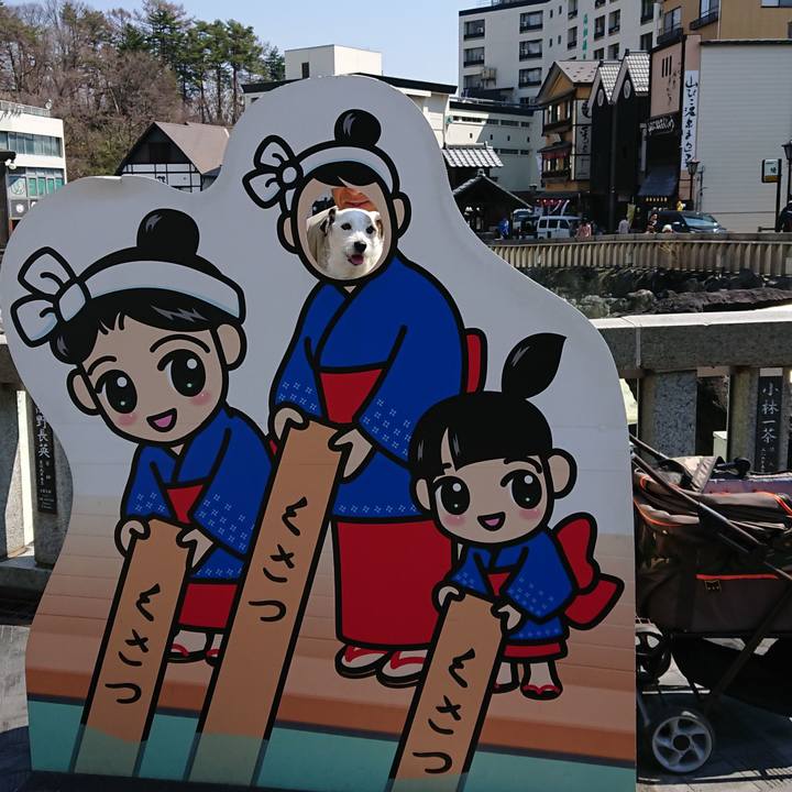 E4ac4bd5 6e70 4784 b90d 94a485d58a48 1524194578789