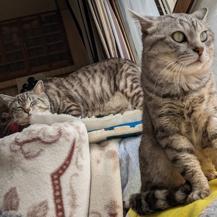 E4ac7df1 cff8 4f89 b77a d1b9486e8aea 1712198011855