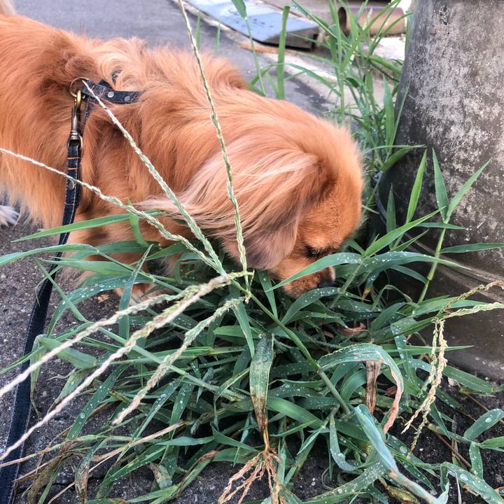 E4acf020 1d7e 4471 9f75 680e47a91df4 1533936695124