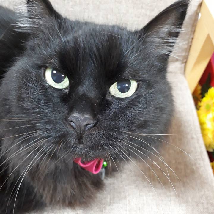 E4ad07f0 2cbe 447d b776 b28468ad106b 1517601484788