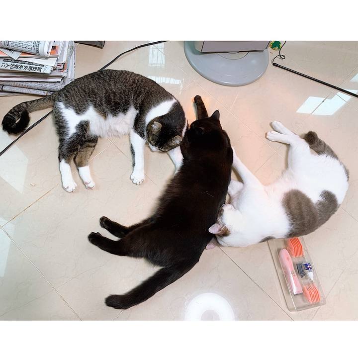 E4ad620c c6e0 44c8 bfe2 99c60400d30e 1580651886865