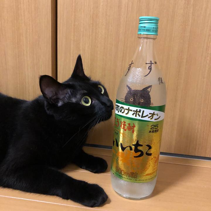 E4ad7456 e3b8 49dc bde3 be078a121964 1566911282820