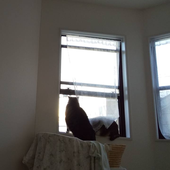 E4add631 26cc 4545 bdec e50e78c0babd 1647638057963