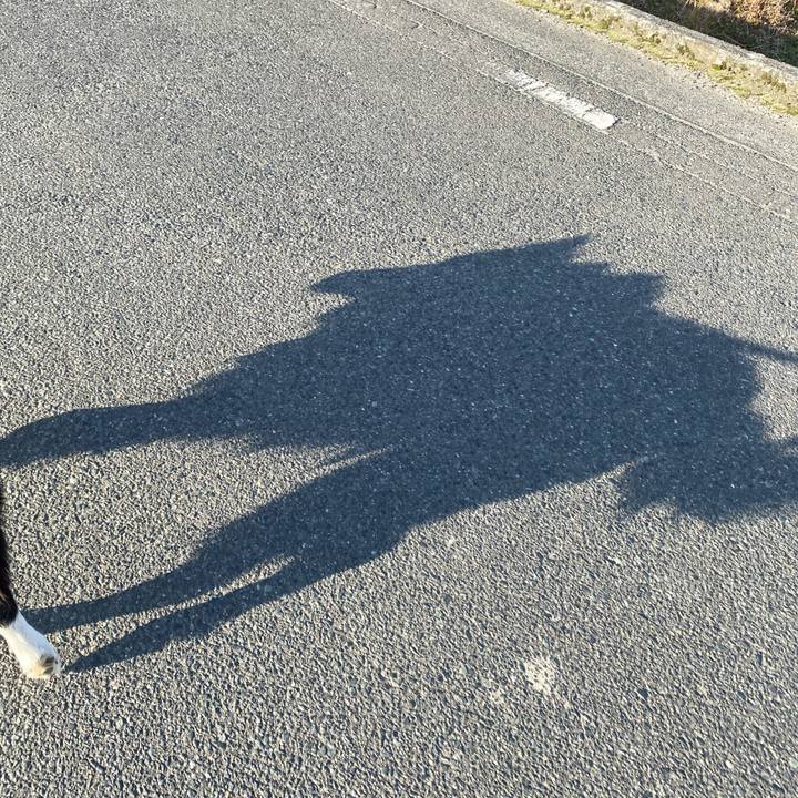 E4adda4c 46de 4723 9739 776da82edbc0 1644019604352