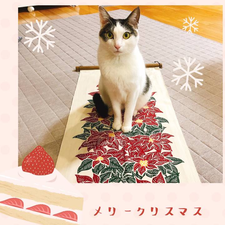 E4ae10b9 e44a 48fb a131 f428ceed0f5b 1640347187198