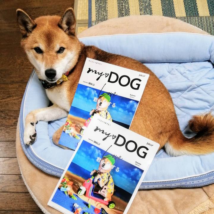 E4ae990e 9394 4971 95fd d9a178cd869b 1600402162985