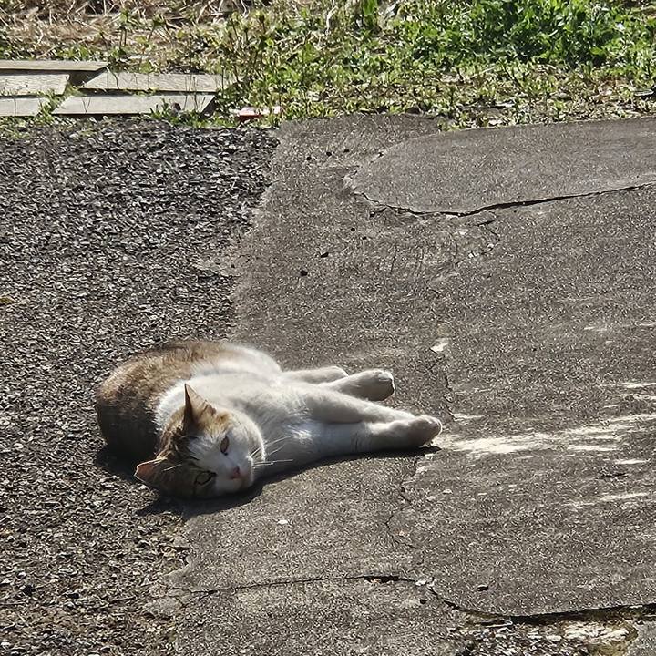 E4aeb7b0 4df9 4ff3 9fcf 65bdf5270033 1742715901123