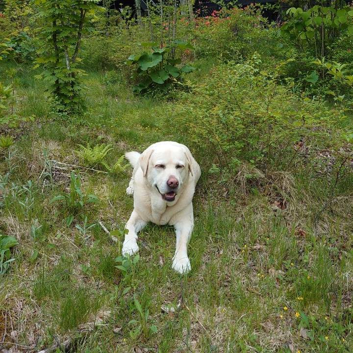 E4aee1aa f124 428c bc19 ed8cd488cf5b 1717068840962