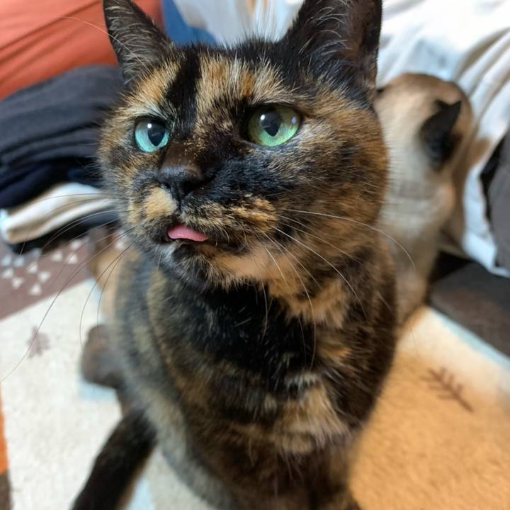 E4aee77f 8cc6 429d 8a1c b91c78e68dc3 1758939789809