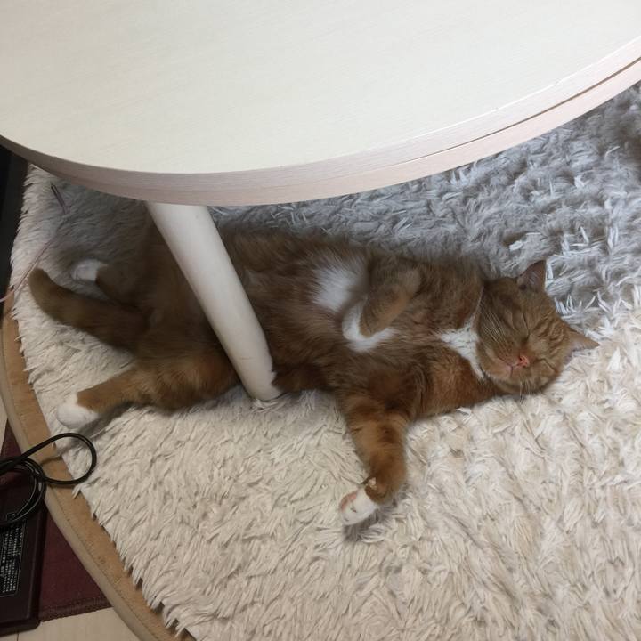 E4af136c 8870 4b9e b333 056c1119e77e 1591421757117