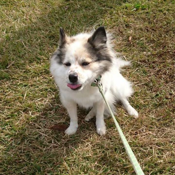 E4af18f3 ffe4 4b6b bd71 028609468d9f 1510223778953