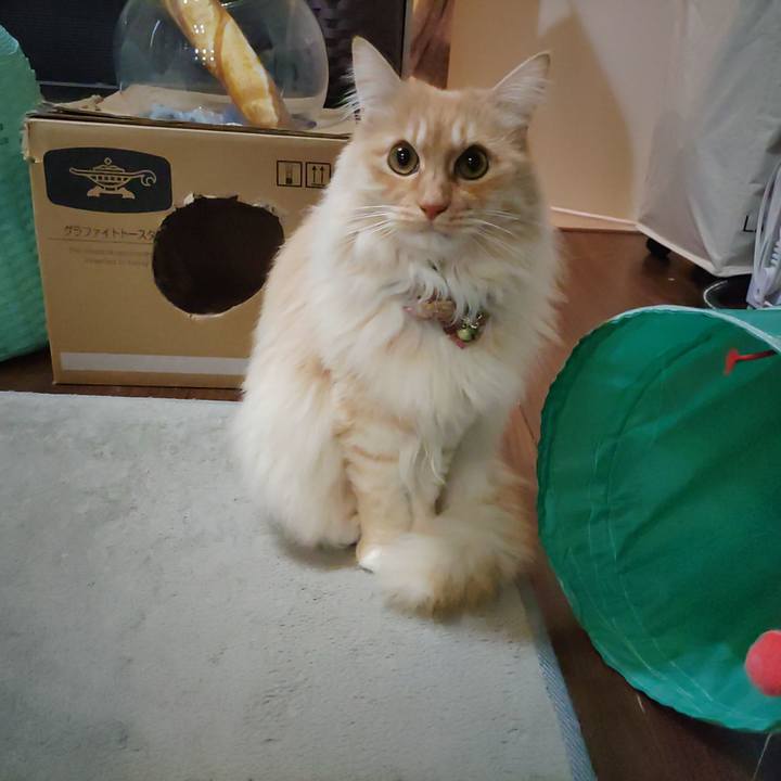 E4af32b8 d995 4167 941c 161d8198711f 1707012806794