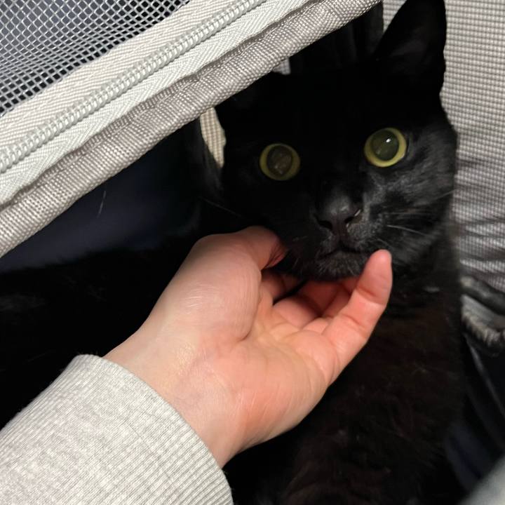 E4af4256 5e92 4244 b2d6 11934b00b589 1681908336253