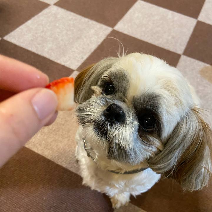 E4af475d d858 4946 80ef 3669c2708238 1651791216055