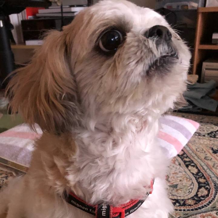 E4af4fb3 6c6d 4c60 9278 e38b20db8d45 1604353604836