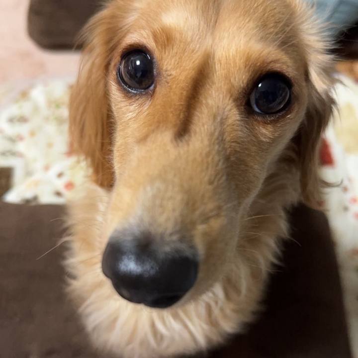 E4af512b ed87 4cc3 909b 3bac6f871ed9 1729064504577