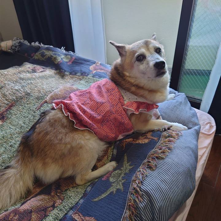 E4af6ebd ddfd 482d 8cc6 895e2fe2a54a 1727829271795