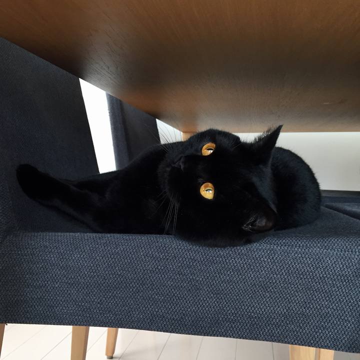 E4af70ac bd70 464b a71f 39ee6bb51fcd 1584143481216