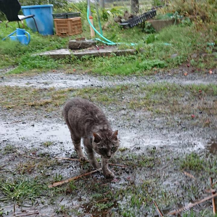 E4af8d00 988b 4d2e ade7 6c02fe2f58e1 1570861475516