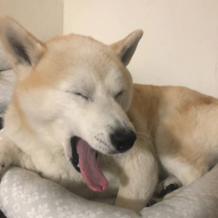 E4afbe31 3e4f 4732 b400 2455ccc0e8a6 1557700519842