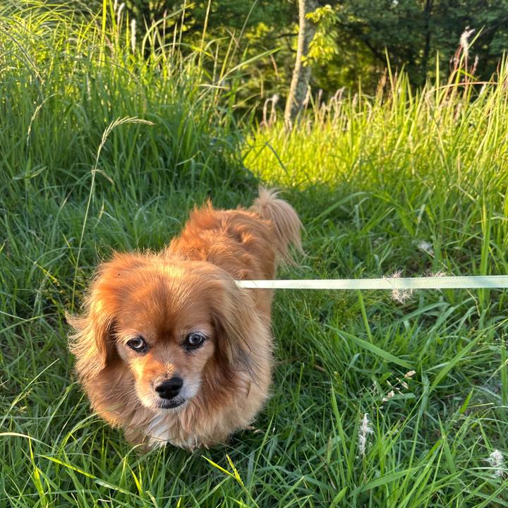 E4afbe3e 1162 4a9f 9002 a311d0d39770 1749071439237