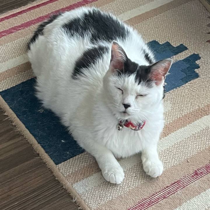 E4afe694 e580 4972 95a5 4ab462368ffa 1726789006693